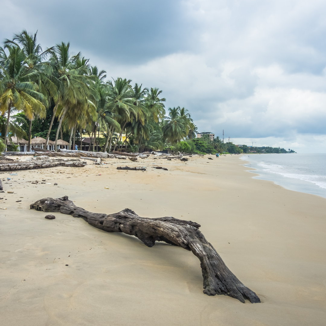Inspired by a peaceful afternoon stroll along the sun-kissed shores of Libreville, Gabon